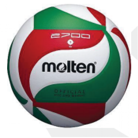 Molten Volleyball - V5M2700